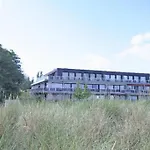 Strandhafer